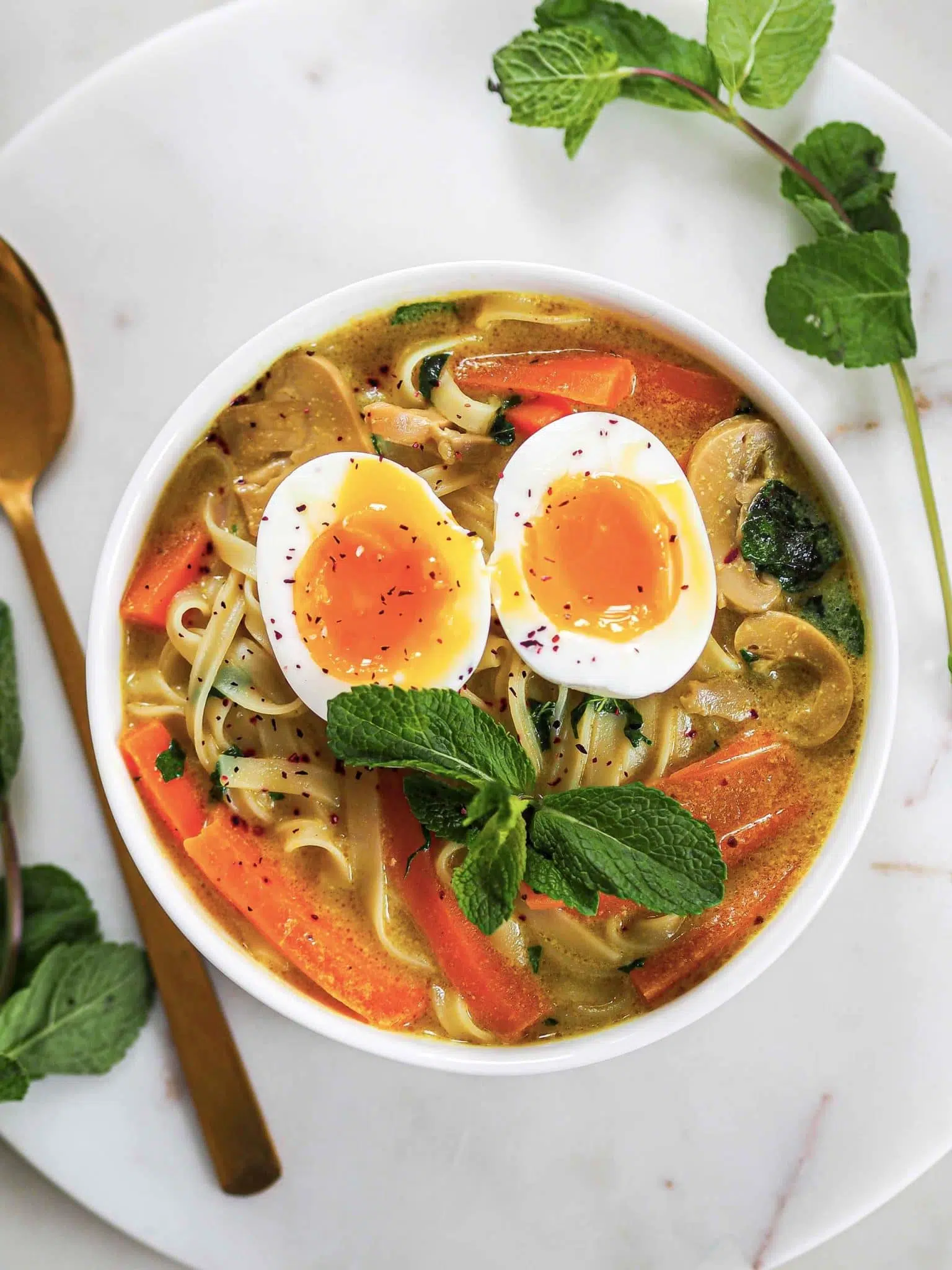 Recette low FODMAP Soupe de nouilles au lait de coco Recette low FODMAP Soupe de nouilles au lait de coco